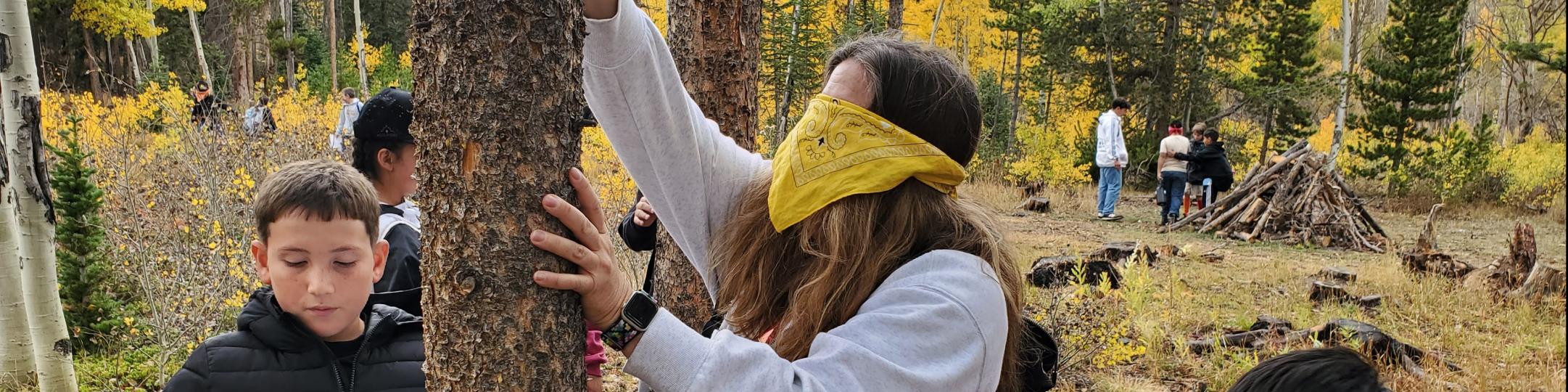 ECO 2025 Forest Ecology