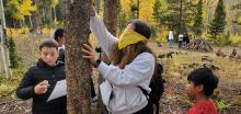 ECO 2025 Forest Ecology