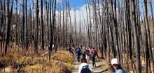 ECO 2025 Hike